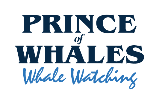Prince of Whales logo refresh
